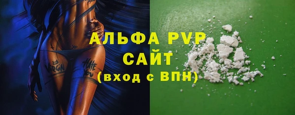 индика Вязники