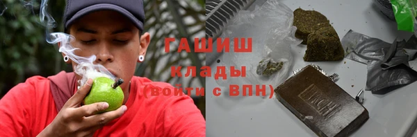 индика Вязники