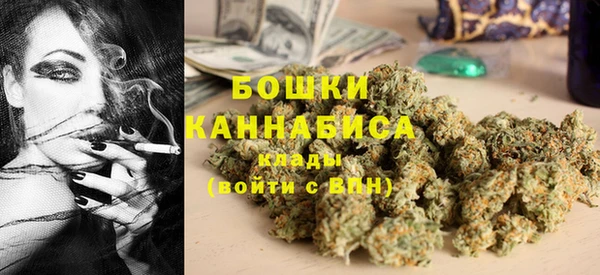 индика Вязники