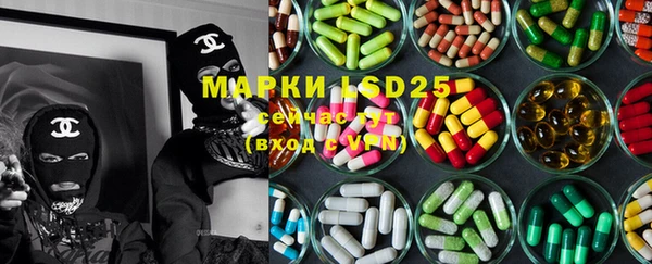 индика Вязники