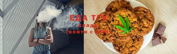 индика Вязники