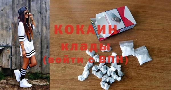 индика Вязники