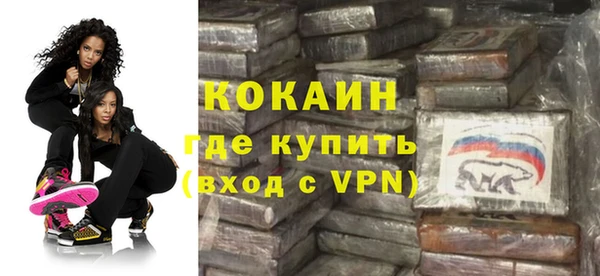 индика Вязники
