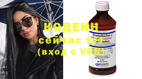 индика Вязники